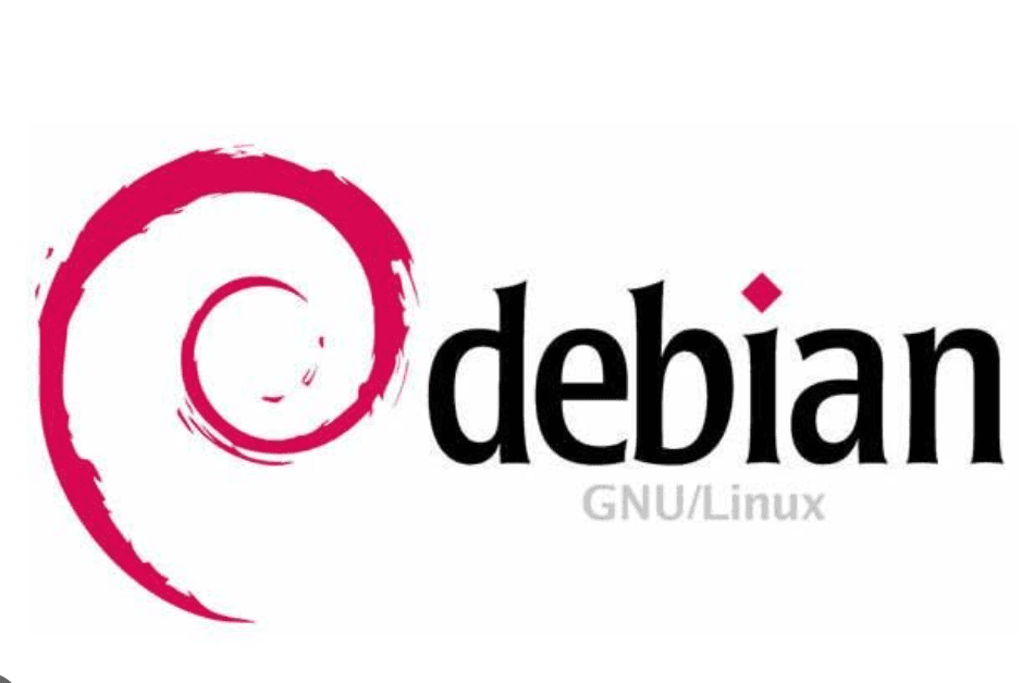 Custom Debian Server Setup & Network Services